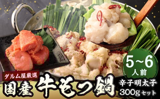 A292 ダルム屋 厳選 国産牛もつ鍋（白醤油）5～6人前と辛子明太子 300g モツ鍋 もつ鍋 辛子明太子 明太子 セット