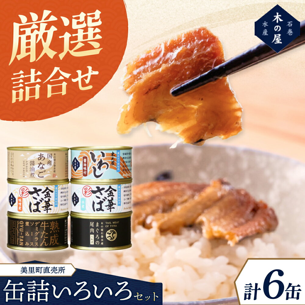 【ふるさと納税】 美里町直売所厳選いいろいろ6缶セット/ 缶詰 魚 アナゴ いわし 金華さば マグロ おつまみ 海鮮 非常食