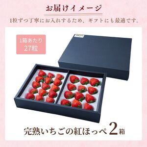 【1月発送】甘熟いちご 紅ほっぺ 2箱 (54粒) | いちご 苺 フルーツ 果物 茨城県 龍ケ崎市