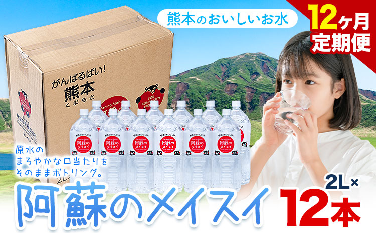 水 熊本 の おいしい お水 阿蘇のメイスイ 2L × 12本 2ケース 12ヶ月定期便 丸富産業《お申し込みの翌月から出荷開始》熊本県 産山村 水 天然水 みず 熊本 飲料 熊本県 ミネラルウォーター ---ubuyama_mrt_30_mo12---