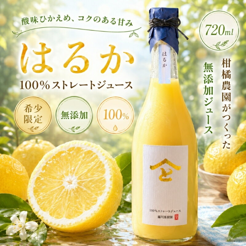 【ふるさと納税】希少限定！無添加 はるか 100％ストレートジュース720ml（単品） 果汁飲料 みかんジュース 飲料類　お届け：2026年6月中旬～2027年2月上旬