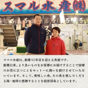 焼津 天然 南 まぐろ 中トロ 付き セット3 (a50-095)