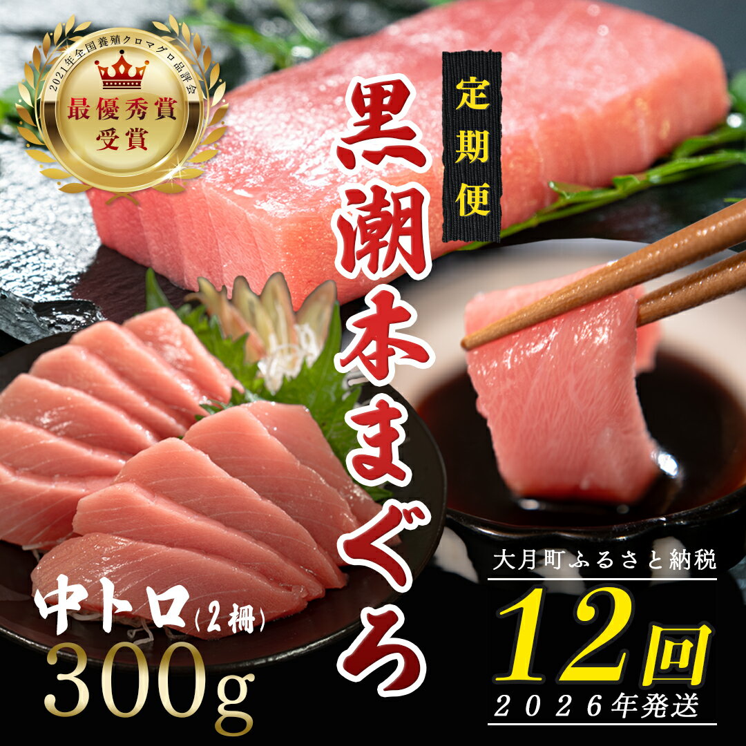 【ふるさと納税】【定期便 12回】日本一!黒潮本まぐろ 中トロ2柵