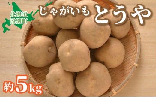 【2025年産】遠別産 じゃがいも（とうや約5㎏）※2025年9月上旬より出荷※