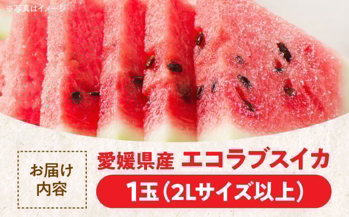 スイカ 夏 すいか 西瓜 かき氷 スイカジュース 甘い フルーツ 果物 フルーツポンチ デザート