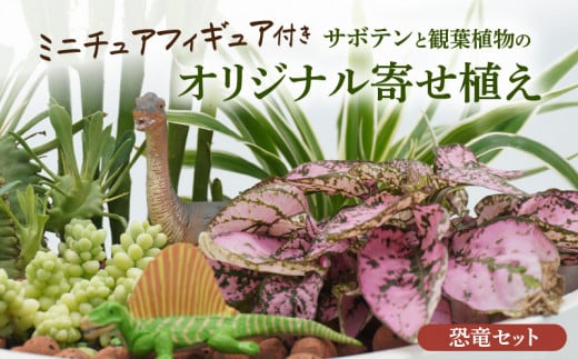 サボテンと観葉植物のオリジナル寄せ植え【恐竜セット】［133O05］