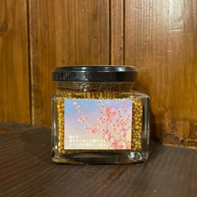 ふるさと納税 水戸市 【水戸市優良観光土産品】Shamrock 粒マスタード 梅香 3個