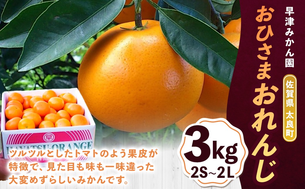
                  L103x1 おひさまおれんじ３kg 希少 みかん ミカン 蜜柑 フルーツ くだもの 果物 ミネラル豊富 太良町 国産 人気 おすすめ ギフト贈り物 ギフト【2026年12月上旬～2027年1月上旬発送予定】
                