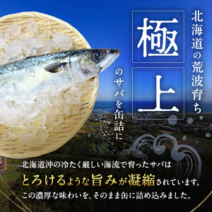 北海道オホーツク枝幸産 さば水煮 缶詰170g×10個 水揚げ当日フレッシュパック！［海洋食品］【 さば サバ サバ缶 缶詰 新鮮 惣菜 保存 長期 加工食品 魚貝 魚介 北海道 オホーツク 枝幸 】