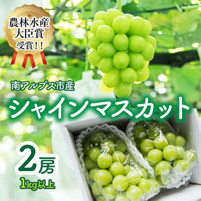 【ふるさと納税】 【2026年先行受付】【農林水産大臣賞受賞!!】シャインマスカット2房1kg以上 ふるさと納税 シャインマスカット マスカット ぶどう 葡萄 果物 フルーツ 2房 おすすめ 山梨県 南アルプス市 送料無料 ALPAS004