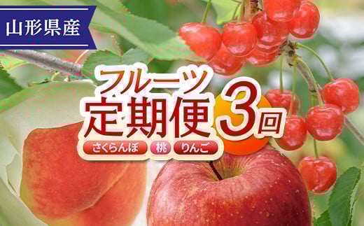FYN9-951《先行予約》【定期便】 2024年 山形県産フルーツ定期便 3回 （佐藤錦 あかつき サンふじりんご） 2024年6月中旬から順次発送 さくらんぼ 桃 白桃 りんご リンゴ 林檎 果物 フルーツ 食べ比べ ギフト 贈答 化粧箱 数量限定 期間限定 産地直送 山形県 西川町 月山