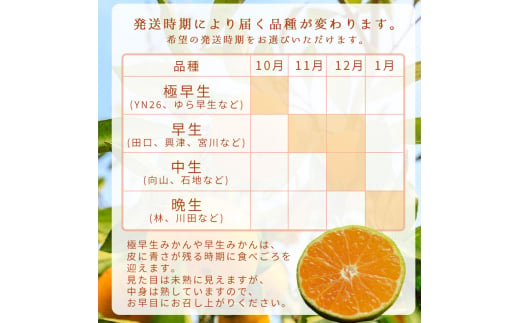 【11月発送】ご家庭用 有田みかん 和歌山 S～Lサイズ 大きさお任せ 3kg / みかん フルーツ 果物 くだもの 有田みかん 蜜柑 柑橘【ktn006A-11】