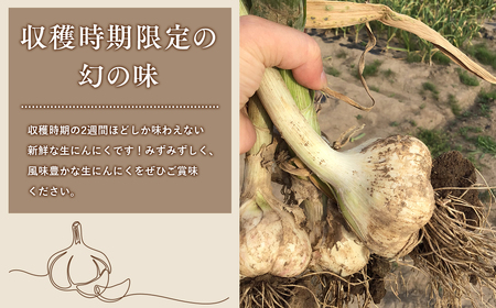 【6月下旬～7月下旬発送】青森県平川市産　土付き生にんにく約1kg【しあわせj-Farm】