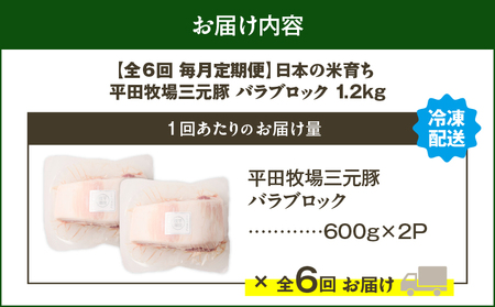 【 全6回 毎月 定期便 】 日本 の 米育ち 平田牧場 三元豚 バラ ブロック 1.2kg T036-T09-02 定期 肉 お肉 にく 豚 豚肉 ブタ ぶた 豚の角煮 角煮 焼豚 厚切りソテー 黒