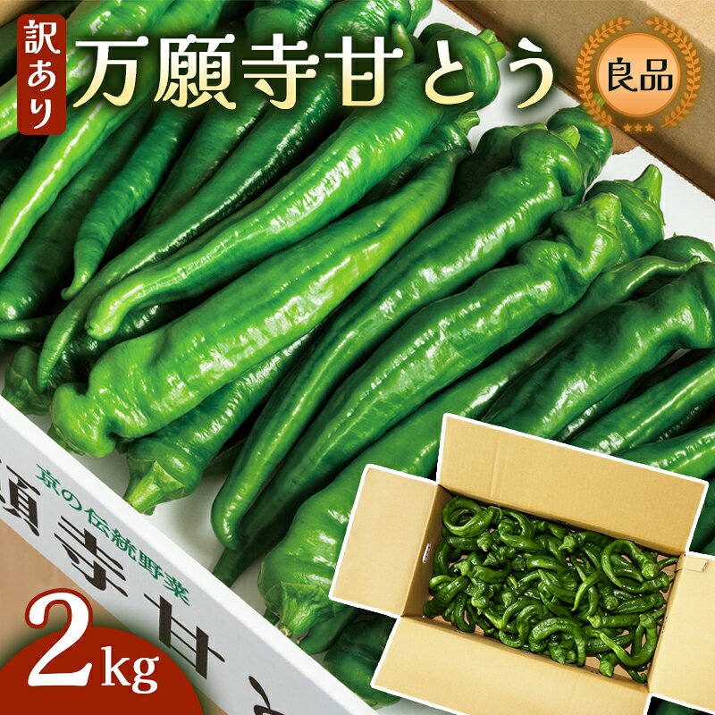 【ふるさと納税】【訳あり】 万願寺甘とう 良品 2kg | 形・長さ不揃い 辛くない京野菜 夏限定 味覚 肉厚 ジューシー 京都産 旬 季節の野菜 詰め合わせ 京のブランド産品 京野菜 万願寺 まんがんじ 野菜 夏野菜 お土産 手土産 JA 京都 綾部
