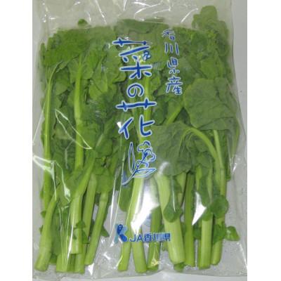 ふるさと納税 まんのう町 菜の花(袋入り) 約2kg |  | 02