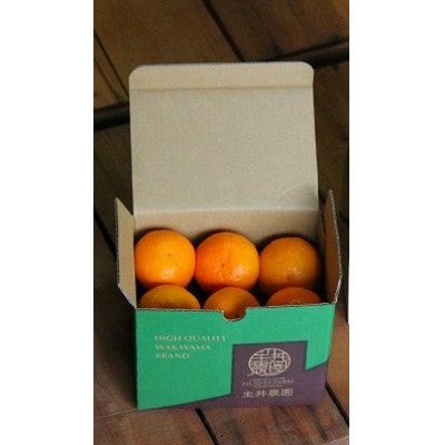 主井農園のバレンシアオレンジ　お試し用1kg【配送不可地域：離島】【1441423】