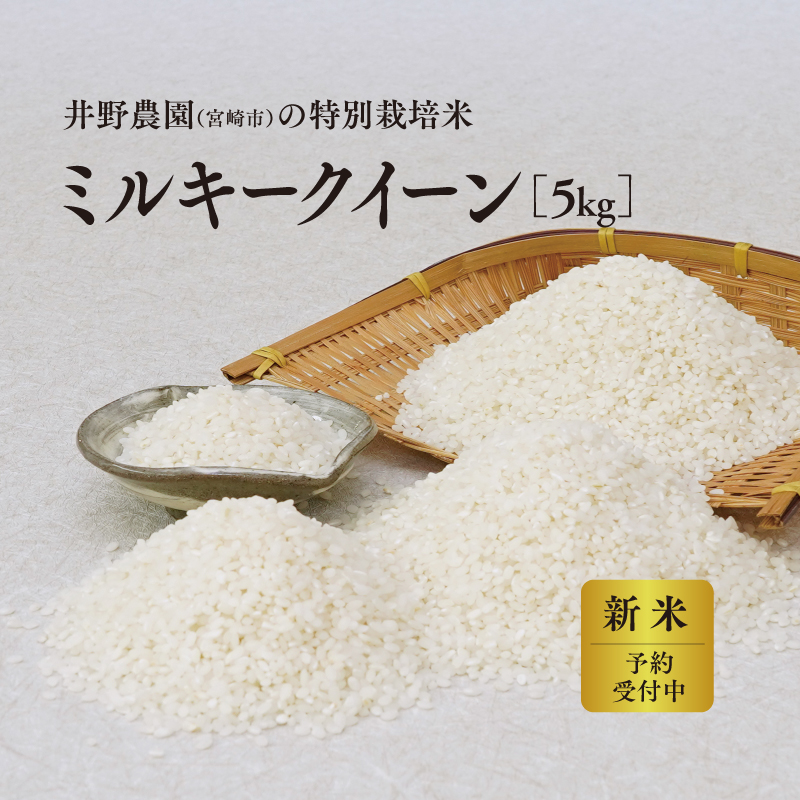《令和8年度産 先行予約》【数量・期間限定】井野農園のミルキークイーン 米 ご飯 ごはん おにぎり 新米