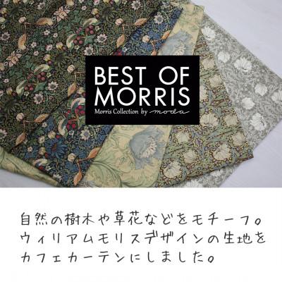 ふるさと納税 茅野市 カフェカーテン 幅100×丈60cm アネモネ8217-22 Fabric by ベストオブモリス |  | 01