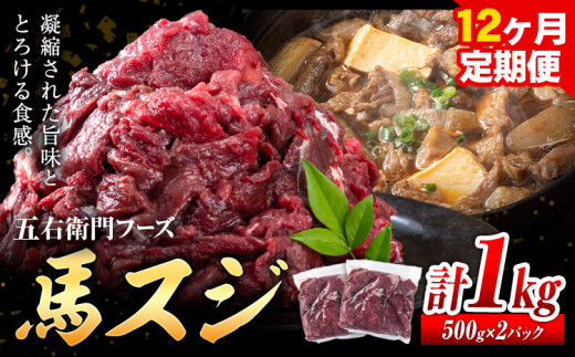 馬肉 馬スジ 500g × 2パック 12kg 12ヶ月定期便 五右衛門フーズ 《お申込み翌月から出荷》 熊本県 球磨郡 山江村 馬肉 肉 国産 スジ カレー 煮込み おでん おかず 送料無料