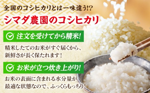 【令和7年産】福井県産こしひかり 300g(約2合) × 12パック / 米 精米 お米 小浜市 / シマダ農園 [BFAV002]