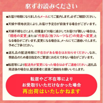 ふるさと納税 大江町 《先行受付》すもも「光李(ひかり)」約2kg 2〜3L【8月中旬頃〜発送予定】001-080 |  | 02