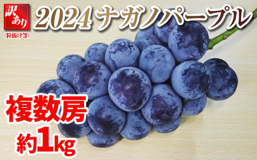 2024 ナガノパープル【訳あり粒抜け等】　房複数　約1キロ　長野県産  【9月末頃～順次発送予定】国際特許有機肥料栽培