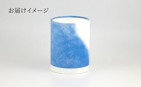【美濃焼】SaiSui Morocco（Blue＆White）植物付き【大東亜窯業】インテリア 雑貨 観葉植物 多肉植物 サボテン グリーン 水で育てる 省スペース 手軽 簡単 初心者 写真映え かわ