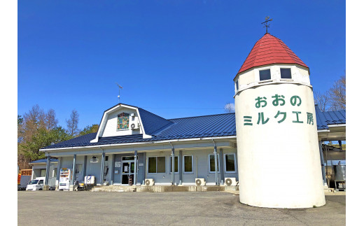 おおのミルク村 のむヨーグルト750ml×3本 全国ヨーグルトサミットグランプリ受賞 超濃厚 ファミリーボトル 酪農家の味
