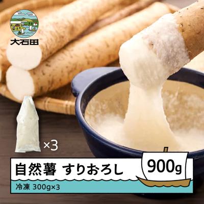 ふるさと納税 大石田町 雪国育ちの自然薯 すりおろし 300g×3 計900g 野菜 やまいも じねんじょ 山形県 大石田町