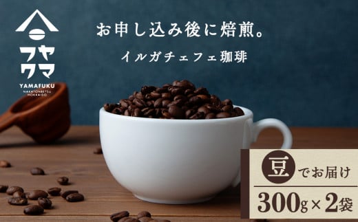 イルガチェフェ（豆） 300g×２袋 自家焙煎珈琲 シングル ギフト ヤマフクコーヒー 北海道 中頓別