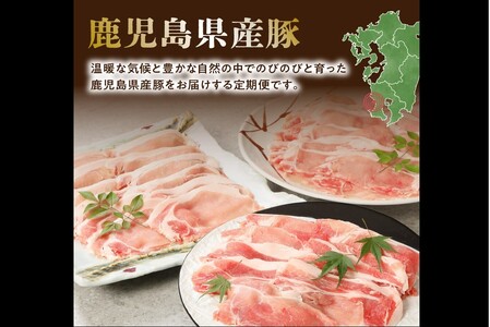 【発送月固定定期便】鹿児島県産 カミチク豚 定期便(南九州市)全4回【配送不可地域：離島】【4081547】