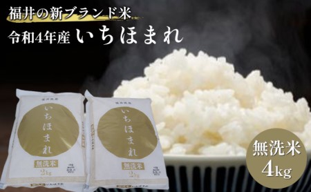 無洗米　いちほまれ4kg（令和6年産）福井の新ブランド米　2kgを2袋