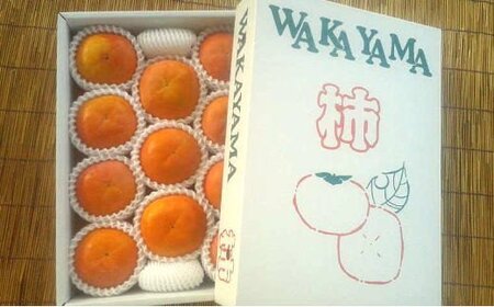 ［厳選・産直］和歌山産の富有柿約4kg（化粧箱入り）（2L～4Lサイズ）※2024年11月上旬～2024年12月上旬頃に順次発送【tec401A】