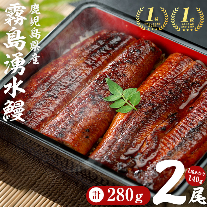 【志布志市人気No.1お礼の品】霧島湧水鰻の蒲焼き 140g以上×2尾＜計280g以上＞ うなぎ 鰻 ウナギ 2尾 国産 九州産 蒲焼き かばやき 冷凍 うな重 ひつまぶし タレ 山椒 ランキング 人気 a1-157-yy