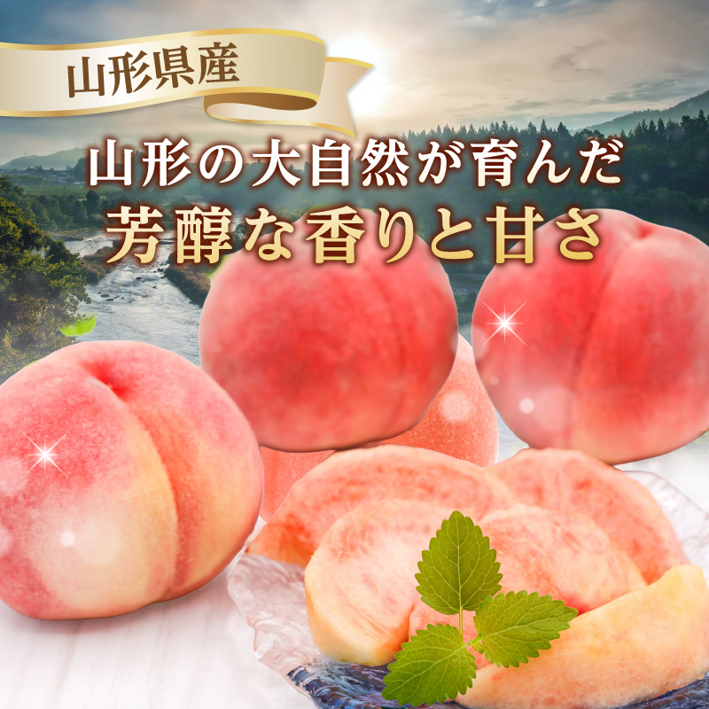 《先行受付》★山形産白桃『川中島白桃』★約3kg(6～12玉程度)秀品【2026年8月中旬頃～順次発送予定】