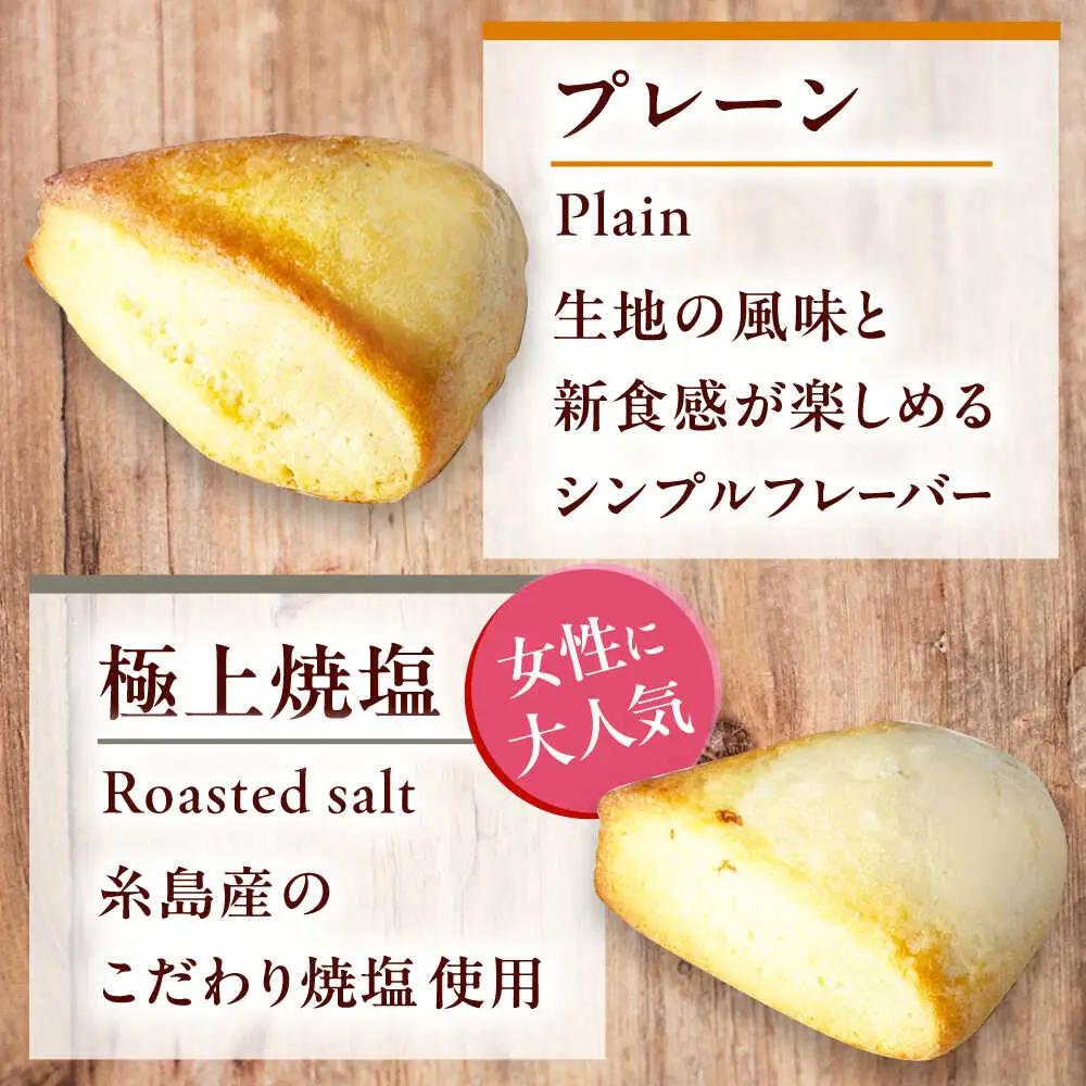 【卵不使用！】生スコーン プレーン・極上焼塩 2種10個セット[QBZ002]
