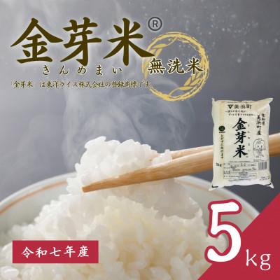 ふるさと納税 美浜町 【 金芽米 】愛知県 美浜町産 にじのきらめき 5kg 無洗米
