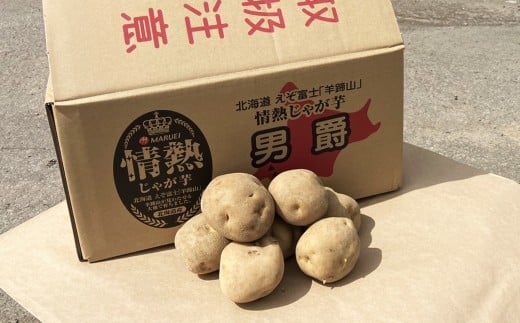 【先行受付】北海道産 情熱じゃが芋（男爵） Lサイズ 計約5kg 株式会社マルエイ商事 じゃがいも じゃが芋 ジャガイモ 芋 いも イモ 国産【2025年10月上旬～2025年12月上旬迄発送予定】