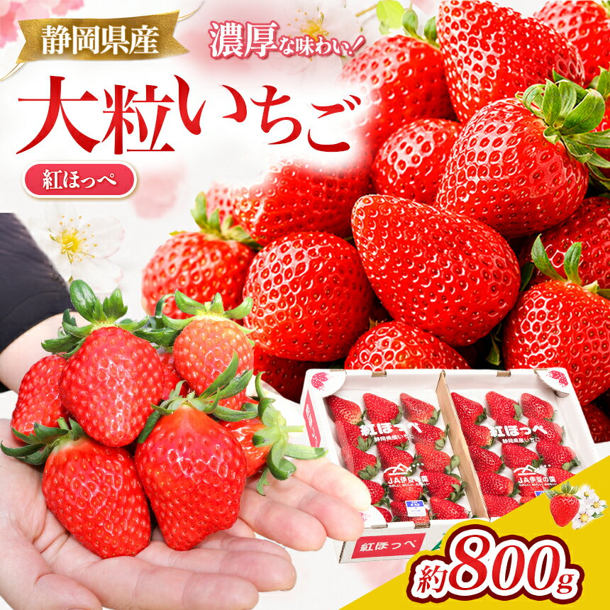 【ふるさと納税】【先行予約/数量限定】新鮮大粒いちご！伊豆紅ほっぺ厳選（約400g×2パック）|果物 フルーツ イチゴ 苺 期間限定 伊豆の国 静岡 静岡県
