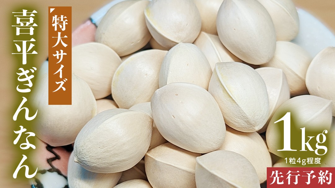 
                  【先行予約】 喜平 ぎんなん 1kg (1粒4.0g程度・特大サイズ) 【2026年10月中旬より発送開始】  イチョウ 秋 美味 栄養満点 健康 高血圧予防 むくみ改善 疲労回復 美肌
                