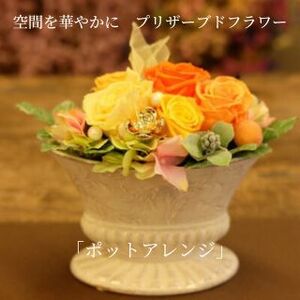 空間を華やかに　プリザーブドフラワー「ポットアレンジ」 レッド＆ピンク系
