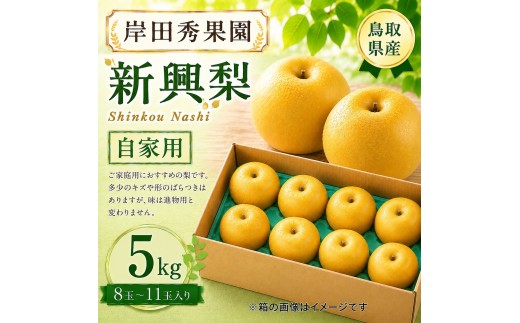 【予約受付中】岸田秀果園 新興 自家用5㎏