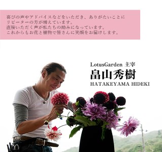 SL0095　【12回定期便】 リースの定期便「毎月楽しむドアリース12」