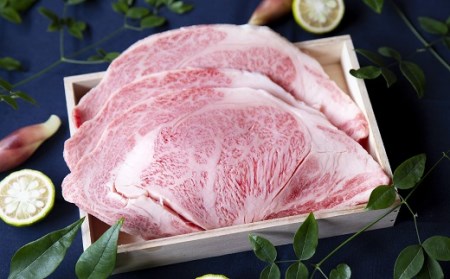 松阪牛焼肉ロース600g ( 松阪牛 牛肉 焼肉 松阪牛 ロース 焼き肉 BBQ アウトドア 牛肉焼肉 松阪牛 ) 