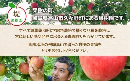 【9月下旬～11月上旬発送】飛騨りんご2種詰め合わせ 3kg | りんご リンゴ KU001