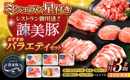 【2回定期便】＜米で育てた＞諫美豚おすすめバラエティセット3kg / 豚肉 ぶたにく 豚 ポーク 肩ロース ステーキ モモ 切り落とし ハンバーグ ロースステーキ パック 小分け / 諫早市 / 株式