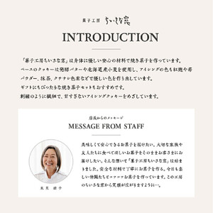 ちいさな窓のクッキー缶「ツルギーとリリスの恋ものがたり」　【11100-1369】