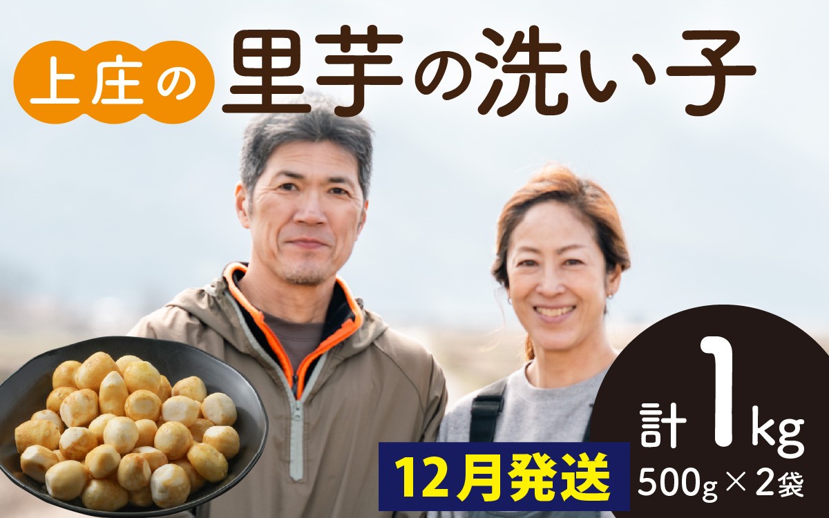 
                  【先行予約】【12月発送】皮むきいらず、煮っ転がしに最適！上庄の里芋の洗い子 1kg【冷凍】
                