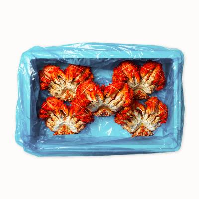 ふるさと納税 根室市 ＜12/14まで年内配送＞★花咲かに800g×5尾(計4kg) E-20006 |  | 03
